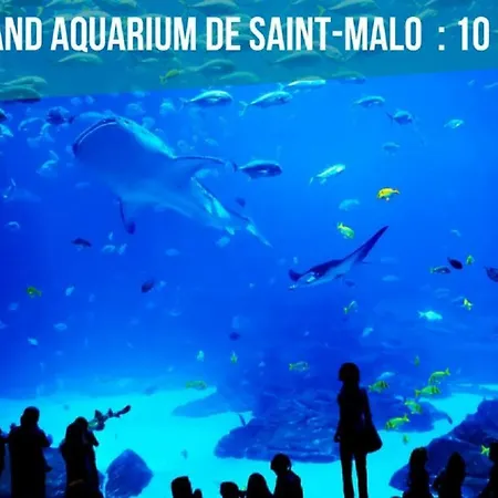 Entier Malo Vue Mer, Proche Ferry, Commerces Et Solidor 50 M Apartment Saint-Malo